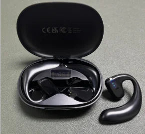 Bluetooth Smart Translation Earbuds
